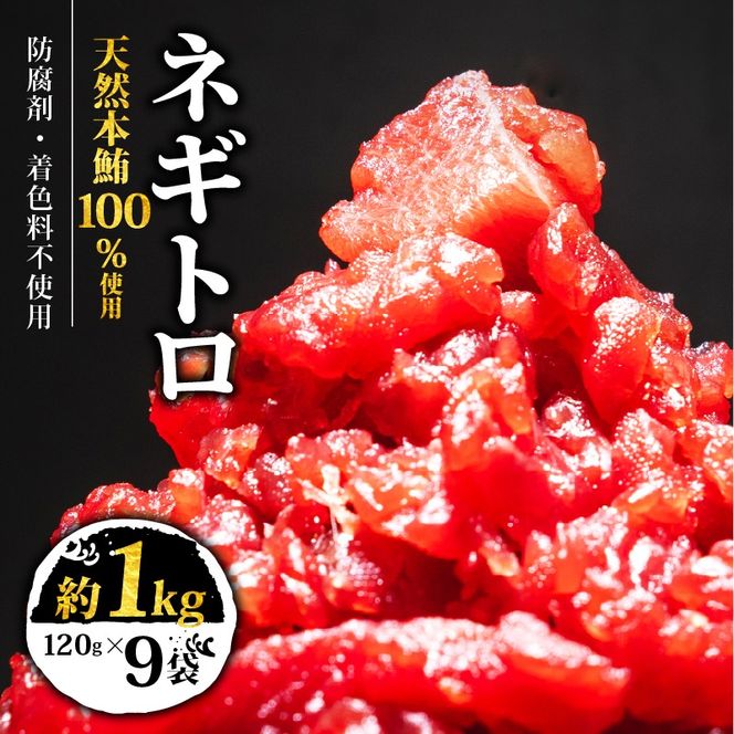 【スピード発送】 天然本鮪100％使用 ネギトロ 約1kg(120g×9) 小分け 冷凍 保存料無添加 着色料無添加 植物油不使用 天然本まぐろ 赤身 中トロ 大トロ 本まぐろ 本鮪 鮪 まぐろ ねぎまぐろ トロ 刺身 さしみ 刺し身 鮮魚 まぐろ赤身 魚介 魚 マグロ 漬け ユッケ 海鮮丼 国産 天然まぐろ 高級 天然 人気 寿司 本鮪 お正月 年末 三陸 大船渡 ギフト ごちそう