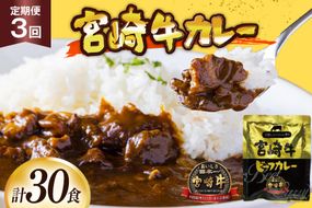 カレー 3回 定期便 レトルト 宮崎牛カレー 160g 10袋 総計30袋 [九州産商 宮崎県 日向市 452061838] 小分け ビーフカレー 宮崎 牛 常備食 保存食 中辛 宮崎牛 備蓄