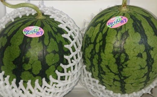 【先行予約】【産地直送】 和歌山産 小玉 すいか 「ひとりじめ7(セブン)」2玉入り　3.5kg以上 / すいか 先行予約 果物 フルーツ くだもの ※2027年6月下旬～7月中旬頃順次発送予定  【tec402-r-2B】