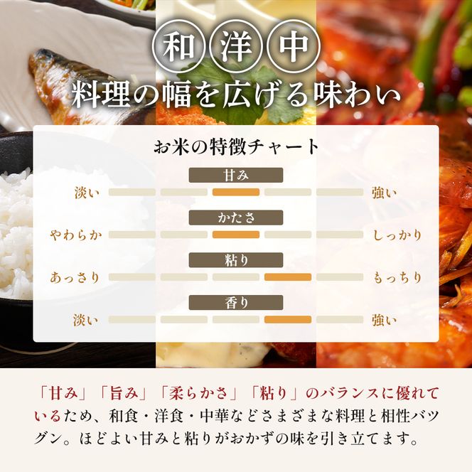 ひとめぼれ 定期便3回/5kg×2 令和7年産 宮城県産 米 精米 白米