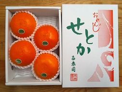 ハーフ 化粧箱 柑橘の大トロ ハウス せとか 厳選 4玉入 南泰園【2024年2月上旬～発送】 BS146