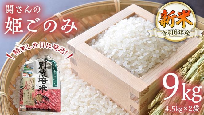 【精米日出荷】みずほの村市場牛久店 関さんの「 姫ごのみ 」4.5kg×2袋 新鮮 米 特別栽培農産物 認定米 お米 白米 精米 ひめごのみ 令和6年産 新米 [AM165us]