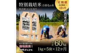 【通年受付】≪令和8年産≫【定期便／全12回】農家直送！魚沼産コシヒカリ特別栽培「白羽毛の米」精米(1kg×5袋)×12回 60kg お米