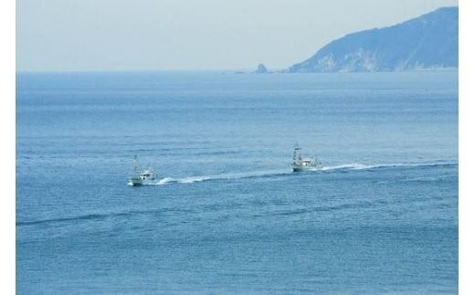 【網元直送・個包装】佐田岬ちりめん 80g×4パック ※離島への配送不可 IKTB030 