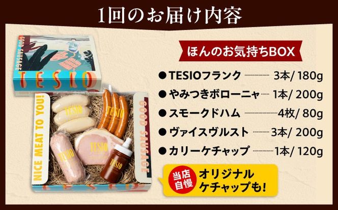 【全3回定期便】TESIOの自家製ハム＆ソーセージ 『ほんのお気持ちBOX』 豚肉 ハム ソーセージ 小分け 真空パック 沖縄市 / TESIO[BCAD010]