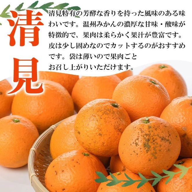 ＜先行予約受付中！2027年2月以降順次発送予定＞訳あり 清見(約5kg) 国産 鹿児島県 阿久根市 果実 果物 フルーツ 柑橘 みかん ミカン きよみ 訳アリ 期間限定 数量限定 【桐野柑橘株式会社】akn070-20