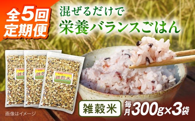全5回 定期便 （月1回） 雑穀米 健康 ごはんの お米 セット 二丈赤米産直センター [ABB020] 雑穀 国産 米 黒米 赤米 栄養満点 もち もち黒米 古代米 定期便