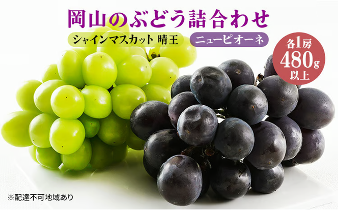 ぶどう 2026年 先行予約 果物 詰合せ ニュー ピオーネ 1房480g以上 シャイン マスカット 晴王 1房 480g以上 化粧箱入り 岡山県産 国産 フルーツ 果物 ギフト 贈答品 フルーツ詰め合わせ 食べ比べ [№5735-1459]