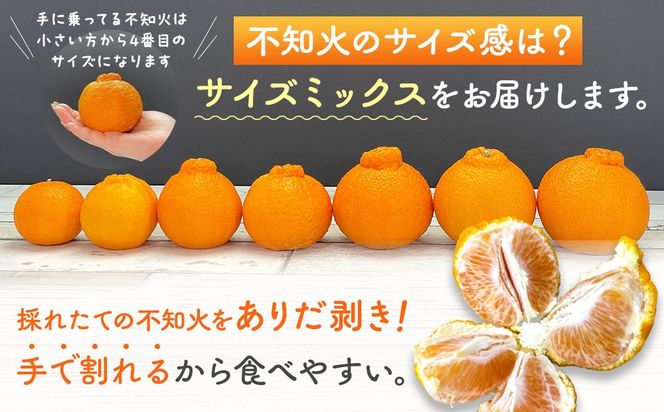 不知火 訳あり それでも 有田の不知火 箱込 7.5kg(内容量約 6.8kg) サイズミックス 和歌山県産 産地直送 【みかんの会】	AX143