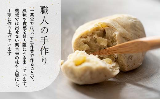 新栗 和菓子処一茶堂 中津川栗きんとん 15個入り F4N-0835