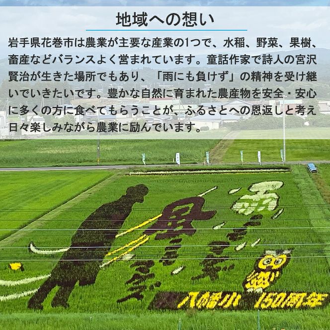 【ご家庭用】味の良い岩手のサンふじ！花巻産約5kg【予約受付】 【276】