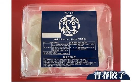 【定期便9ヶ月】餃子専門店青春餃子 もちもち肉汁餃子15個入り×3パック 45個（計405個）