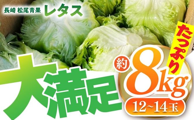 【2026年12月～発送】レタス 約8kg（12〜14玉）/ れたす 野菜 やさい / 南島原市 / 株式会社松尾青果[SGU005]