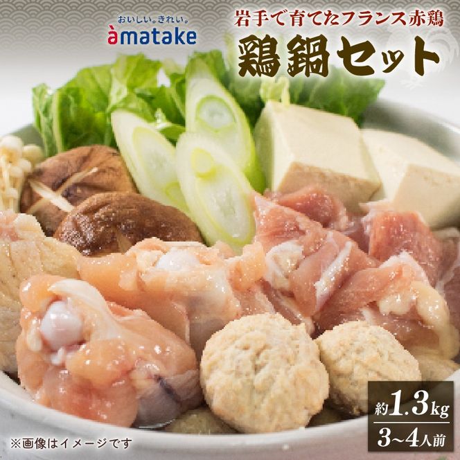 【9月～4月発送】赤鶏 塩鍋セット (3～4人前) 赤鶏のモモ角切り肉500g 鶏肉だんご110g 塩鍋つゆ750g 冷凍 数量限定