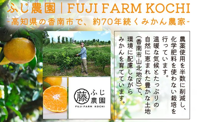 【3回定期便】ふじ農園の露地みかん 訳あり品 2.5kg(2S～M)  国産 小玉 蜜柑 ミカン 柑橘 果物 フルーツ 訳アリ ご家庭用 自宅用 ふじ農園 高知県 香南市 Wfn-0020