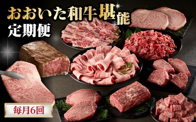 【T10099】【毎月配送】【おおいた和牛堪能】毎月6回お届け定期便