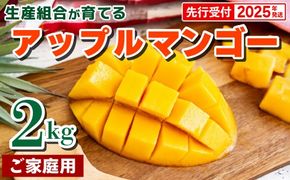 【先行受付】【2025年発送】生産組合が育てるアップルマンゴー約2kg（家庭用）