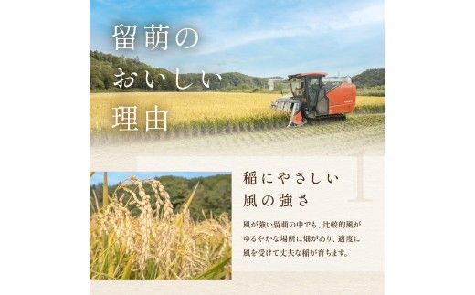 米 北海道南るもい産【ななつぼし】(無洗米)5kg×2袋 R011-010