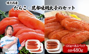 丸鮮道場水産 噴火湾産たらこと北海道の昆布味明太子 便利に小分けでお届け 詰合せ 噴火湾産たらこ120g×2 昆布味明太子120g×2 (計480g)