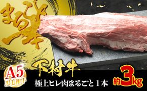 【大府市特産】A5黒毛和牛『下村牛』極上ヒレ肉まるごと１本 232238_N018-PR