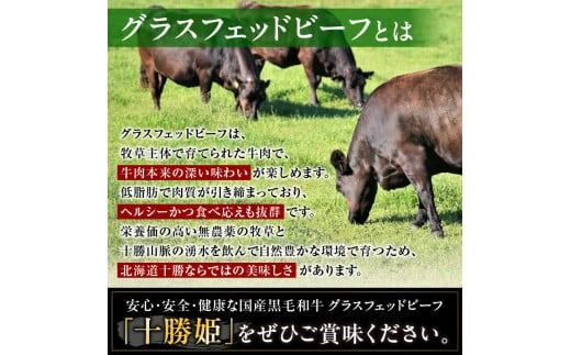 ブランド和牛「十勝姫」の和牛道ハンバーグ120g×6個セット_S017-0003