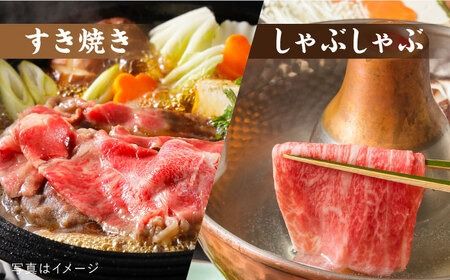 【全12回定期便】【極上 ヒレ ブロック】 1kg A4ランク 博多和牛 糸島市 / 糸島ミートデリ工房 [ACA352]