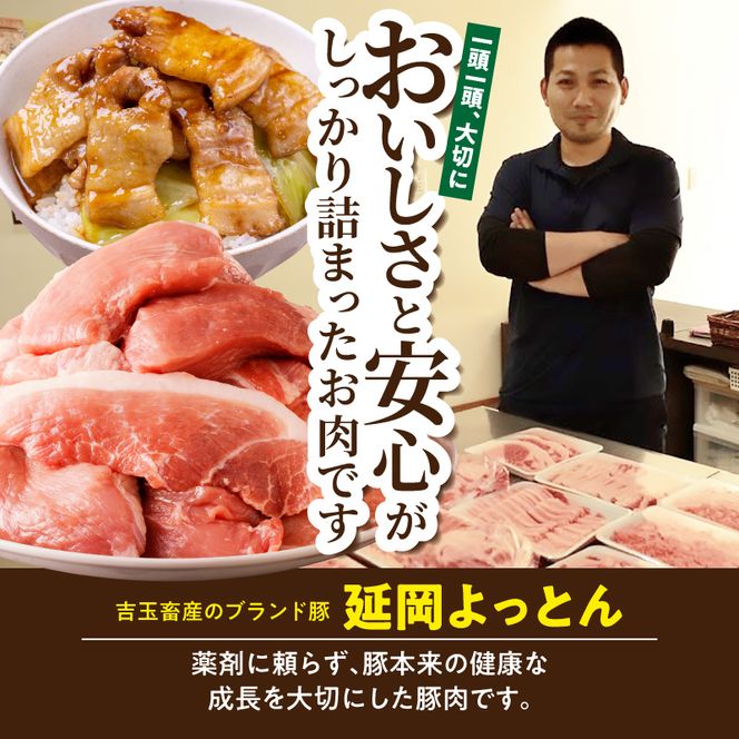 延岡よっとん＆宮崎県産豚 切り落し食べ比べセット 各250g×4 N0220-YB264