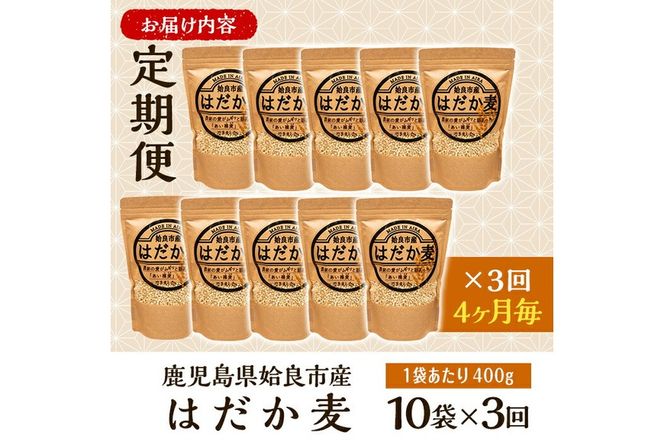 a767 《数量限定・定期便全3回》姶良市産はだか麦(計12kg・400g×10袋×3回)【竹之内穀類産業】