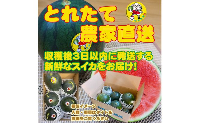 【先行予約】黒皮小玉スイカ 鳥取県北栄町産 農家指定（こちらの返礼品は、大栄西瓜ではありません） 313726_CK007