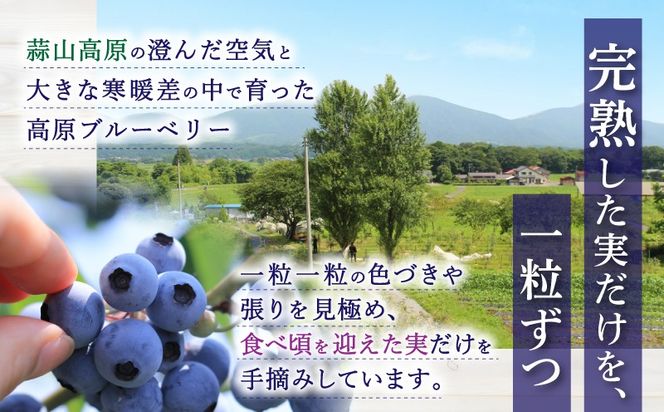 【2026年7月中旬～順次発送】 蒜山高原 ブルーベリー 約 1kg ( 500g 2パック ) 生ブルーベリー 国産 岡山県真庭市 朝採れ 甘い 果物 フルーツ ブルーベリー園 カルチベートガーデン 冷蔵 産地直送 くだもの 新鮮 スムージー ジュース ヨーグルト ジャム 国産 新鮮 ブルーベリー 甘い 岡山県 真庭市 送料無料 数量限定 【kbkb001-01】