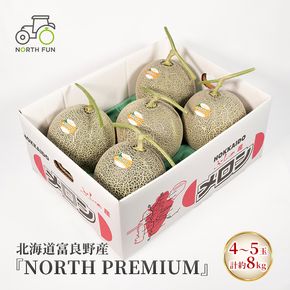 【2026年6月～発送】富良野メロン 4～5玉 計約8kg (NORTH FUN) メロン フルーツ 果物