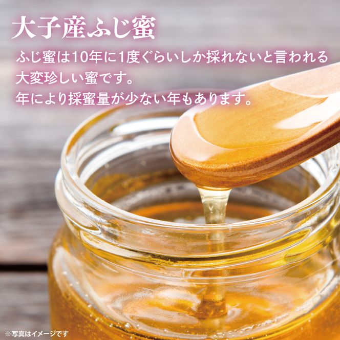 【2026年10月～2027年4月発送】天然はちみつ【大子のふじ蜜 120g×3本セット】|茨城県 大子町 奥久慈 ハチミツ 蜂蜜 プレゼント 包装（BG002）