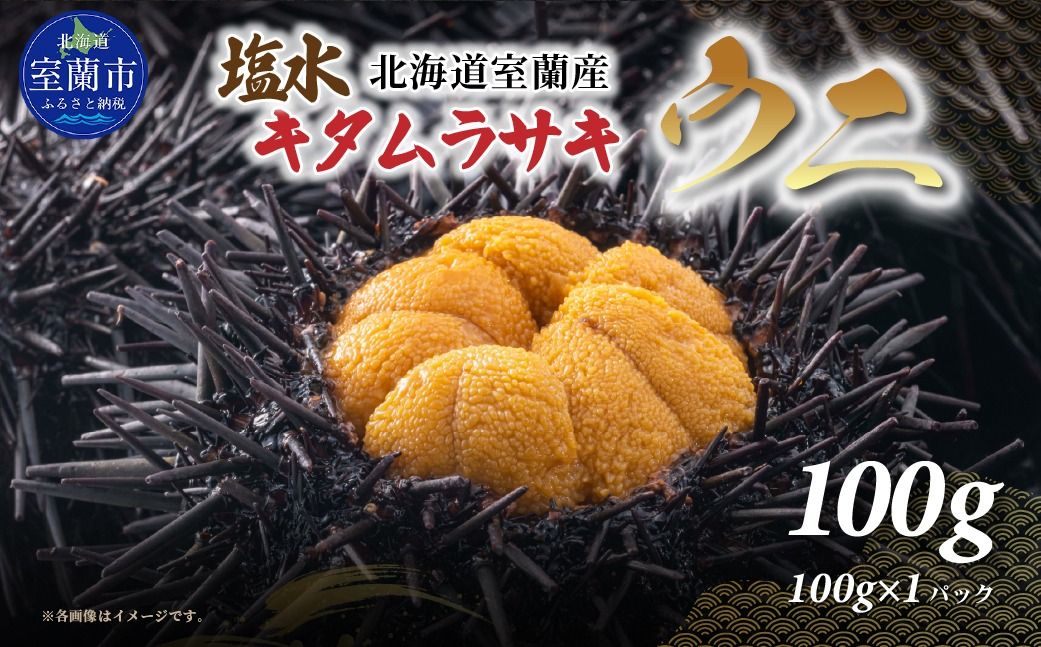 北海道室蘭産 塩水キタムラサキウニ (100g×1パック)[翌年(2026)/7〜9月中順次発送] MR