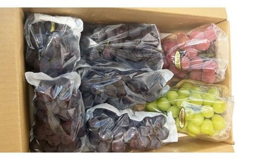 【 藤澤ブドウ園 】 旬 の おすすめ セット 約2.5kg 2026年産 先行予約 ぶどう 葡萄 巨峰 高級 シャインマスカット[AH001ci]