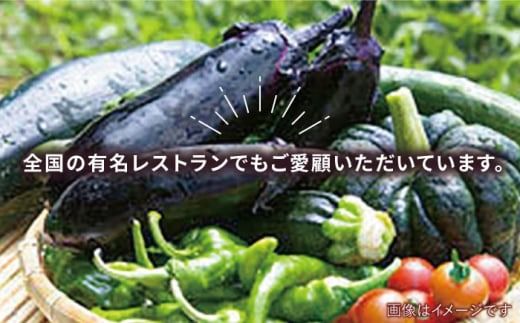 ☆キャンプにもおすすめ☆バーベキュー・グリル用朝獲れ野菜特選セット【福岡県糸島産】(7〜8人分) 糸島市 / オーガニックナガミツファーム 野菜 詰め合わせ 	[AGE039]