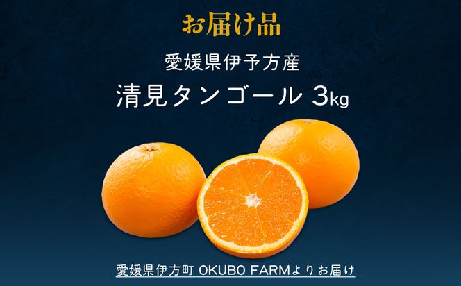 【先行予約】【家庭用】清見タンゴール 3kg ※北海道・沖縄・離島への配送不可（2026年3月中旬より順次発送） IKTAT005 