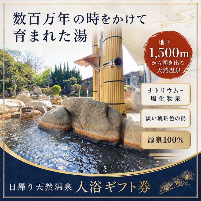 袋井温泉 和の湯 日帰り天然温泉 ★入浴ギフト券11枚★温泉は明日への活力 やわらぎのゆ 人気 厳選 おすすめ くつろぎ 日帰り入浴 ふぐ フグ 袋井市 チケット 温泉利用券 日帰り温泉 回数券 露天風呂 サウナ レストラン 観光 癒し エコパ 