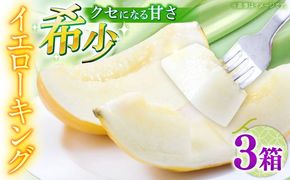 【2026年5月〜発送】メロン イエローキング 3箱 （1箱 3～6玉）/ メロン めろん フルーツ 果物 / 南島原市 / 南島原果物屋[SCV041]