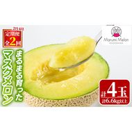 【0472212b】＜定期便・全2回(2月・4月)＞まるまる育ったマスクメロン(2玉×2回・計6.6kg以上) マスクメロン フルーツ 果物 果実 6キロ 数量限定 期間限定【まる美園芸組合】