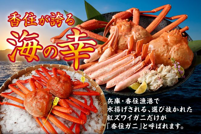 【香住ガニ 釜茹で ボイル 大きめ 約600g×2匹（約1.2kg以上）冷蔵】大人気 人気 ランキング おすすめ 国産 しゃぶ かにみそ かにすき かに鍋 カニの本場 香住 兵庫県 香美町  注意書きの確認を必ずお願いします  ベニズワイガニ かに 蟹  むき身 爪 脚 日本海フーズ 07-01 ☆