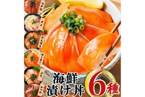 ＜お試しサイズ＞海鮮 お魚 漬け丼 6種 セット ぶり 真鯛 カンパチ マグロ サーモン カツオのたたき 食べ比べ 簡単 便利 小分け 個包装 まだい 鰤 鮪 鰹 お取り寄せ 海鮮丼 時短 【UZ-16】【請関水産】