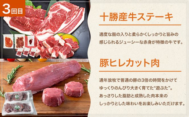 十勝幕別の定期便 牛肉と豚肉 全3回 【 牛 豚 焼肉 バーベキュー ロース ステーキ しゃぶしゃぶ とんかつ 北海道 十勝 幕別 】