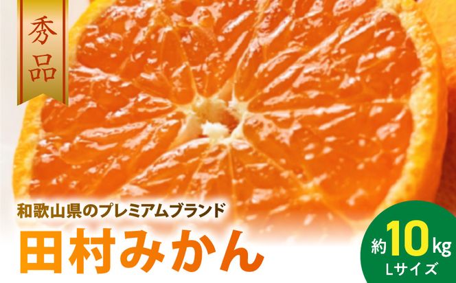 AB7304_ 【2026年先行予約】プレミアムブランド 田村みかん Lサイズ 秀品  約10kg _和歌山県産 蜜柑 ミカン フルーツ 果物 ギフト お歳暮 完熟