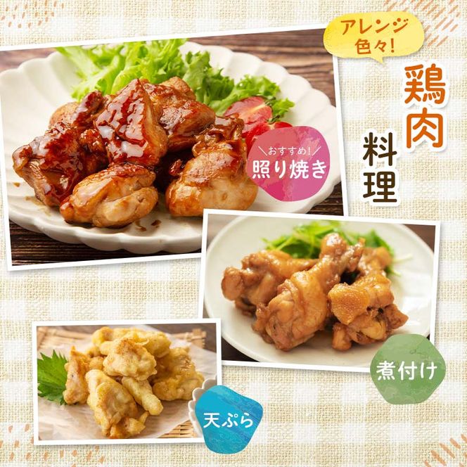 【定期便・6回】産地直送！恵那どり もも肉・むね肉6枚セット 小分け 真空パック 大容量 セット 鶏肉 F4N-2481
