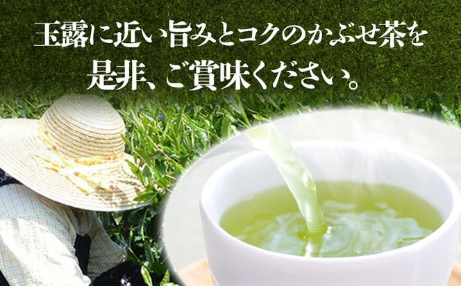 【2024年産】緑茶 星野茶 八女茶 お茶 星野村の八女茶 かぶせ茶 80g×2本 お取り寄せグルメ お取り寄せ 福岡 お土産 九州 福岡土産 取り寄せ グルメ 福岡県