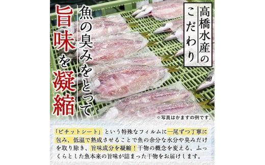 ギフト用品質！九州産ひものかます開き(10尾) 干物 かます カマス 開き 魚 海鮮 冷凍 ひもの 小分け 惣菜 おかず セット ギフト 贈り物 大分県 佐伯市【DH182】【ネクサ】