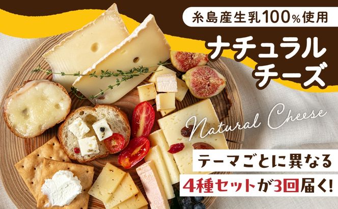 【全3回 お楽しみ 定期便】糸島産 生乳 100％ 使用 手作り チーズ 毎月 4種 糸島市 / 糸島ナチュラルチーズ製造所TAK-タック-[AYC010]