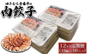【12ヶ月定期便】ゆきむら壱番亭の肉餃子10パック(160個入り) ※離島への配送不可