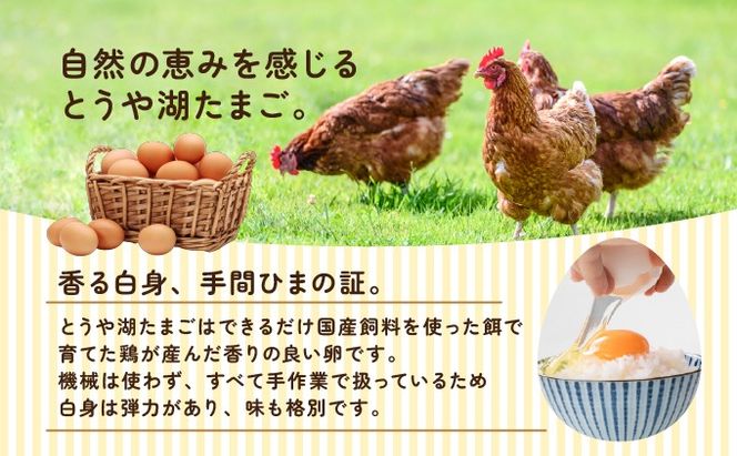 【6ヵ月 定期便】 北海道 伊達市 とうや湖 卵 鉄  60個 入り たまご
