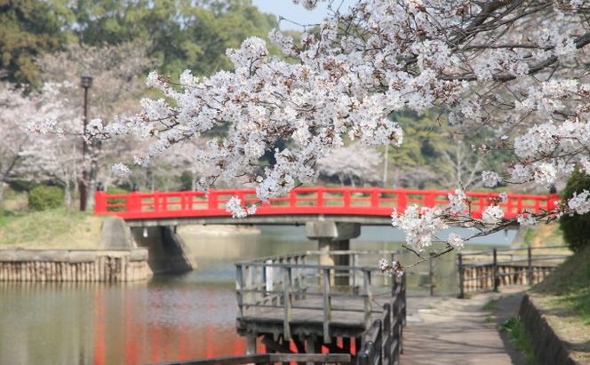 福岡県朝倉市　日本旅行　地域限定旅行クーポン300,000円分 チケット 